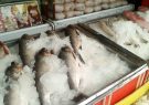 هیچ‌گونه کمبودی برای تأمین مرغ و ماهی نداریم/ فروش گوشت مرغ ارزان‌تر از نرخ دولتی در مشهد
