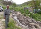 پس از سال ها خشکسالی، آب در چشمه‌های پارک ملی تندوره درگز جریان یافت