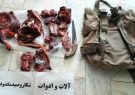 کشف اجزاء شکار شده یک راس قوچ و میش وحشی در خلیل آباد