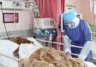 رئیس دانشکده علوم پزشکی تربت جام: فوتی‌های کرونایی در تربت جام به ۸۷ نفر رسید/ مردم نکات بهداشتی را رعایت کند