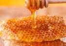 تولید ۵۰ تن عسل در شهرستان سبزوار