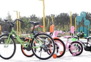 اختصاص ۱۵۰ دوچرخه برای پارک‌های بانوان سطح شهر مشهد