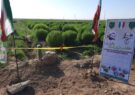افتتاح پروژه آبیاری کم‌فشار در اراضی روستای همت‌آباد