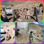توقیف برداشت غیر مجاز گیاه دارویی باریجه در شهرستان قوچان