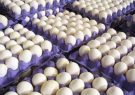 روزانه ۳۷۰ تن تخم‌مرغ در خراسان رضوی تولید می‌شود