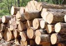 کشف ۱۰ تن چوب قاچاق در خوشاب