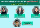 کسب سه مقام کشوری توسط دانش آموزان آسیب دیده بینایی استان در جشنواره نوجوان خوارزمی