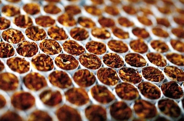 کشف ۲۸۰ هزار نخ سیگار قاچاق