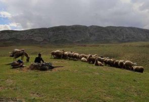 ۱۳۰۰۰ هکتار از اراضی ملی شهرستان خوشاب در قالب طرح‌های حفاظت مشارکتی توسط جوامع محلی حفاظت می‌شوند