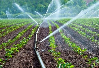 طرح آبیاری تحت‌فشار ۲۰۰ هکتار از اراضی کشاورزی شهرستان فیروزه تأمین مالی می‌شود
