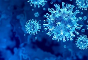 رئیس دانشکده علوم پزشکی تربت‌جام: آمار بهبودیافتگان به ویروس کرونا ۱۵ نفرو مبتلایان به ۱۹ نفر افزایش یافت