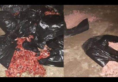 کشف محموله غیرمجاز ۸۰۰ کیلویی ضایعات گوشت در مشهد