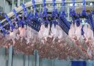 نظارت بر تولید ۳۶۳۱ تن گوشت مرغ در کشتارگاه های طیور استان از ابتدای طرح تشدید نظارت‌های نوروزی