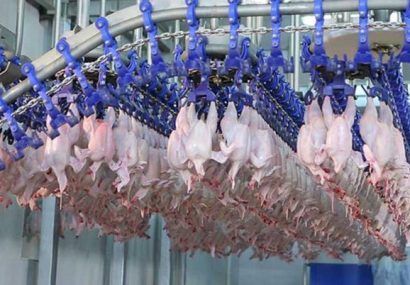 نظارت بر تولید ۳۶۳۱ تن گوشت مرغ در کشتارگاه های طیور استان از ابتدای طرح تشدید نظارت‌های نوروزی