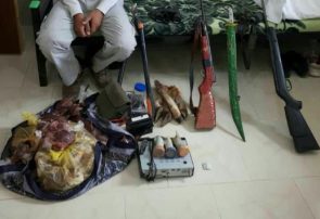 دستگیری شکارچی غیرمجاز قوچ وحشی در نیشابور