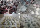 توزیع ۳۰۰ کیلوگرم گوشت مرغ و ۱۳۰ بسته مواد غذایی در روستای سعادت آباد رشتخوار