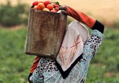 زنان روستایی رشتخوار در اشتغال زایی سهم مهمی دارند