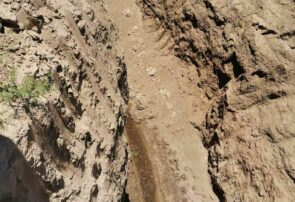 افزایش ۲۰ تا ۱۰۰ درصدی آبدهی حاصل از لایروبی و مرمت قنوات در شهرستان فیروزه