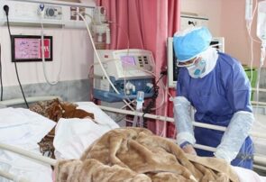 رئیس دانشکده علوم پزشکی تربت جام: فوتی‌های کرونایی در تربت جام به ۸۷ نفر رسید/ مردم نکات بهداشتی را رعایت کند