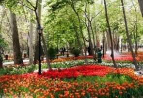 معاون خدمات شهری شهرداری مشهد: توسعه فضای سبز منطقه ۳ با احداث ۷ بوستان