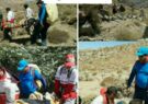 حمله پلنگ به چوپان خوافی در ارتفاعات معادن سنگان