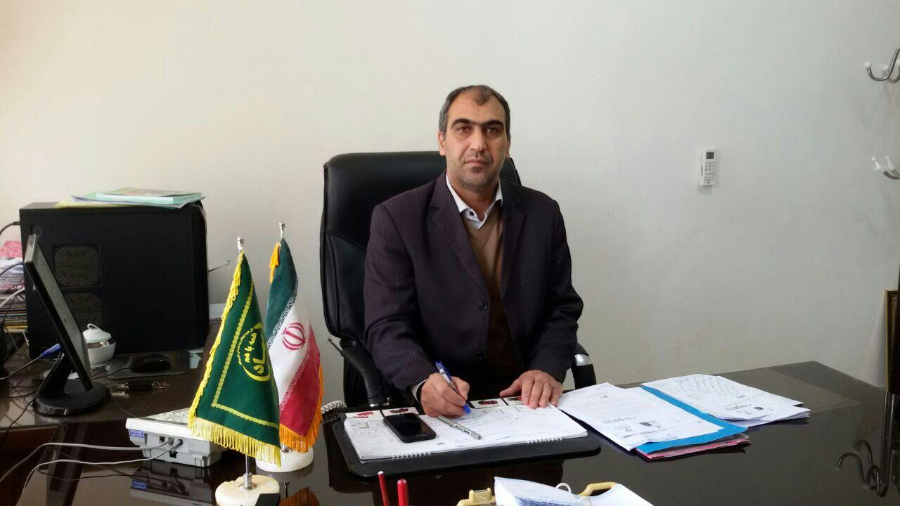 شهرستان سرخس قطب تولید کشت دانههای روغنی (کلزاء) میشود