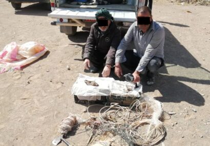 دو صیاد پرندگان شکاری در مشهد دستگیر شدند