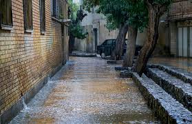 سرپرست اداره کل هماهنگی و نظارت بر خدمات شهری شهرداری مشهد: در پی بارش‌های اخیر موردی از آبگرفتگی در سطح شهر نداشتیم