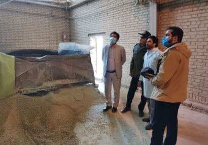 رصد و پایش نهادهای کشاورزی و نظارت بر تولید کنسانتره در شهرستان فیروزه