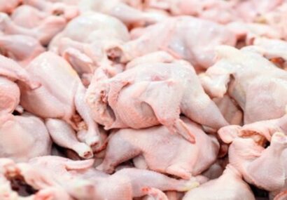 تولید روزانه ۵ تن گوشت مرغ در شهرستان چناران
