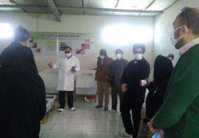 بازدید مدیرکل نظارت دانشگاه علوم پزشکی از اولین و تنها مرکز دارای مجوز تکثیر و پرورش زالوی استان