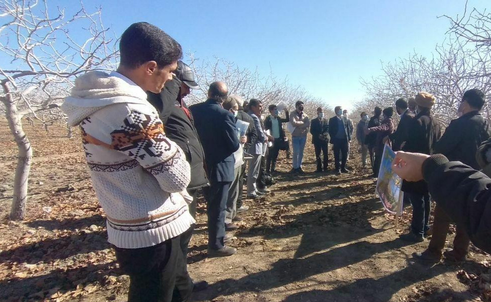 برگزاری کارگاه آموزشی مبارزه زمستانه با آفات و بیماریهای پسته در تربت حیدریه