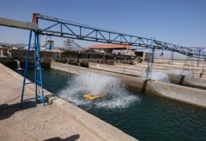 برداشت ۳۲۱ تن ماهیان سردآبی و گرمابی در شهرستان تربت حیدریه