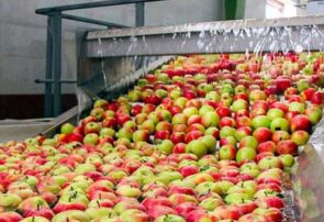 ۲۲۷ کارگاه و کارخانه فعال به امر فرآوری و بسته‌بندی محصولات کشاورزی و دامی در شهر مشهد