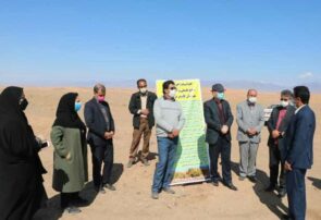افتتاح طرح ۲۵۰ هکتاری بیابان‌زدایی در شهرستان کاشمر