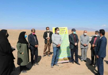 افتتاح طرح ۲۵۰ هکتاری بیابان‌زدایی در شهرستان کاشمر