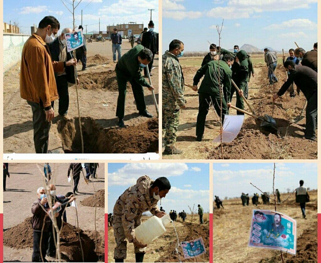 کاشت ۱۰ هزار درخت مثمر به یاد شهدای شهرستان نیشابور در دهستان شهید برونسی