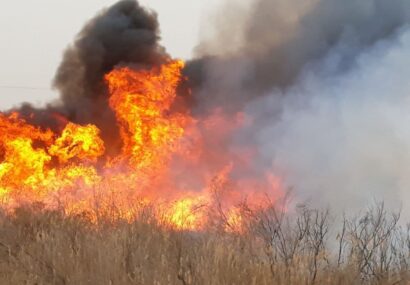 آتش سوزی در مراتع سیرخون روستای بهدادین خواف