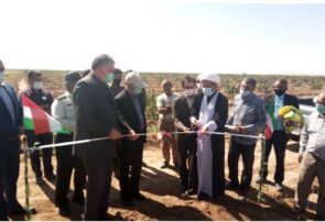 افتتاح پروژه آبیاری تحت‌فشار و کم‌فشار در بخش جنگل