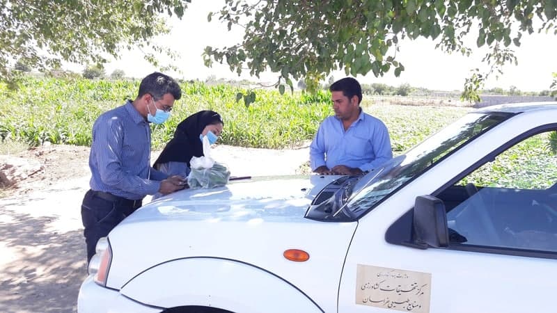 نمونهبرداری محصول خیار جهت بررسی باقیمانده نیترات در شهرستان نیشابور