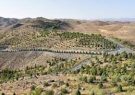 رئیس اداره کمربند سبز جنوبی شهرداری مشهد اعلام کرد؛  کاشت ۵۰۰ اصله نهال همزمان با فرا رسیدن هفته هوای پاک