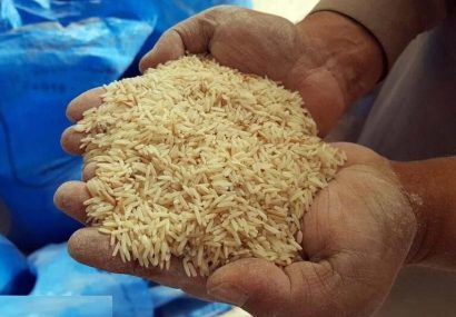 کشف ۲ تن و ۳۷۰ کیلوگرم برنج خارجی قاچاق در تربت جام