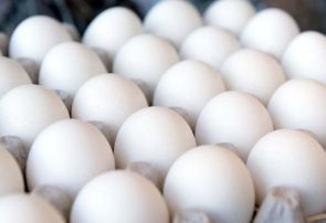 توقیف حدود ۲ تن تخم‌مرغ در یک منزل مسکونی در پنج تن