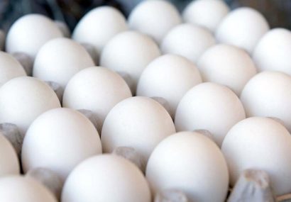 توقیف حدود ۲ تن تخم‌مرغ در یک منزل مسکونی در پنج تن