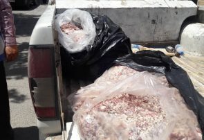 کشف و ضبط بیش از ۳۰ کیلو گوشت فاسد از یک آشپزخانه در نیشابور￼