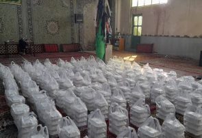 طبخ و توزیع ١٠ هزار پرس غذای گرم به مناسبت عید سعید غدیر در تربت‌جام￼