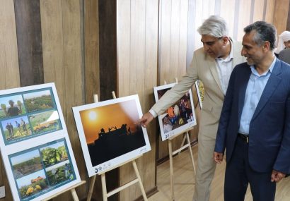 گزارش تصویری از نمایشگاه عکس پالیز در تربت جام