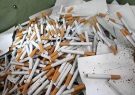 کشف بیش از ۱۷ هزار نخ سیگار قاچاق در تربت حیدریه ￼