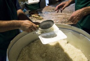 توزیع ۲۳ تن برنج با قیمت مصوب بین هیئت‌های مذهبی باخرز￼