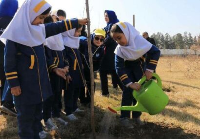 کاشت بیش از ۴۵۰ نهال در برنامه‌های هفته درختکاری در مشهد